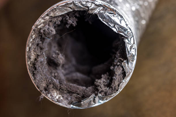 Best Dryer Vent Cleaning Services  in Shpee Neck, MA