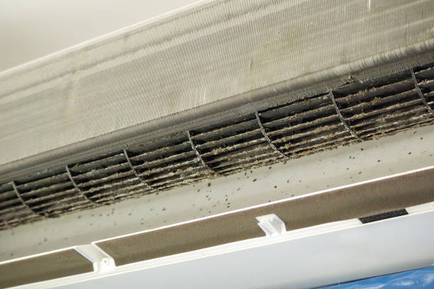 Best Emergency Air Duct Cleaning  in Shpee Neck, MA