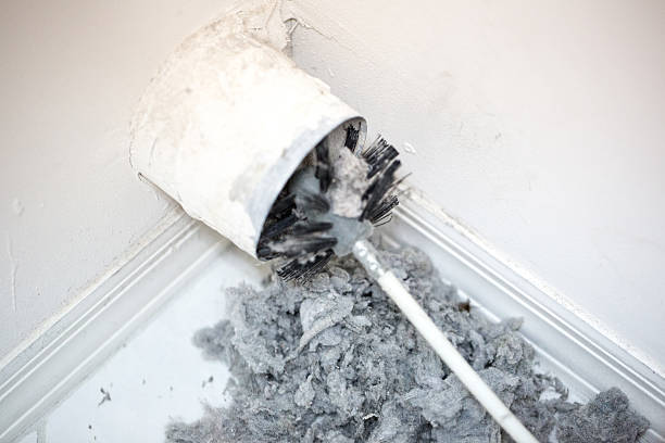 Best Dryer Vent Cleaning Services  in Shpee Neck, MA